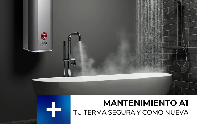 Mantenimiento termas electricas gas