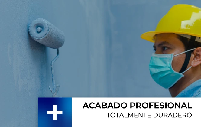 Profesionales pintores paredes con