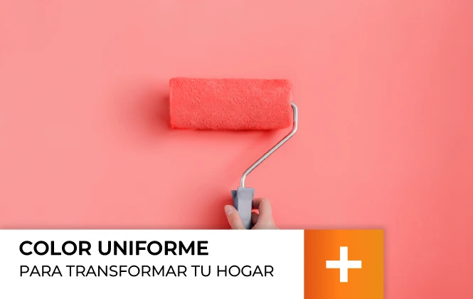 Servicio pintado paredes con